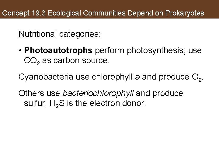 Concept 19. 3 Ecological Communities Depend on Prokaryotes Nutritional categories: • Photoautotrophs perform photosynthesis;