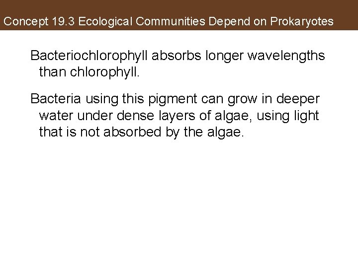 Concept 19. 3 Ecological Communities Depend on Prokaryotes Bacteriochlorophyll absorbs longer wavelengths than chlorophyll.