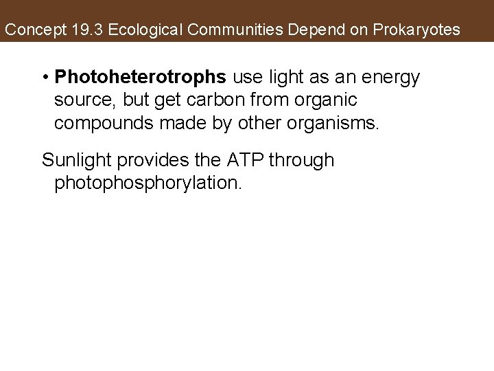 Concept 19. 3 Ecological Communities Depend on Prokaryotes • Photoheterotrophs use light as an