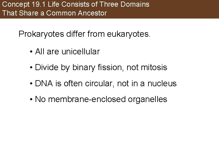 Concept 19. 1 Life Consists of Three Domains That Share a Common Ancestor Prokaryotes