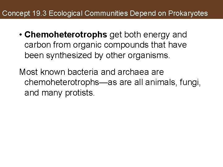 Concept 19. 3 Ecological Communities Depend on Prokaryotes • Chemoheterotrophs get both energy and