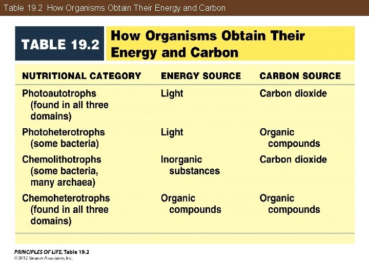 Table 19. 2 How Organisms Obtain Their Energy and Carbon 