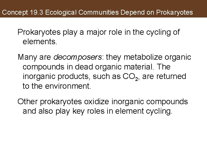 Concept 19. 3 Ecological Communities Depend on Prokaryotes play a major role in the