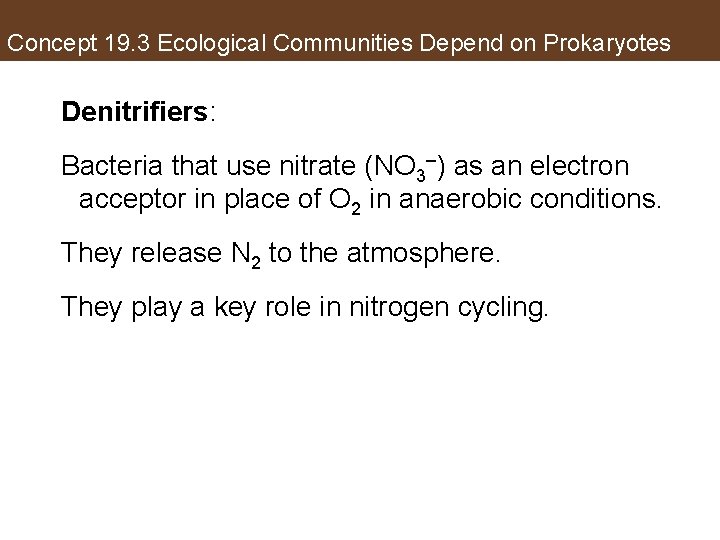 Concept 19. 3 Ecological Communities Depend on Prokaryotes Denitrifiers: Bacteria that use nitrate (NO