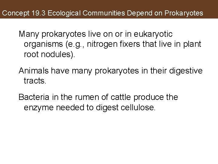 Concept 19. 3 Ecological Communities Depend on Prokaryotes Many prokaryotes live on or in