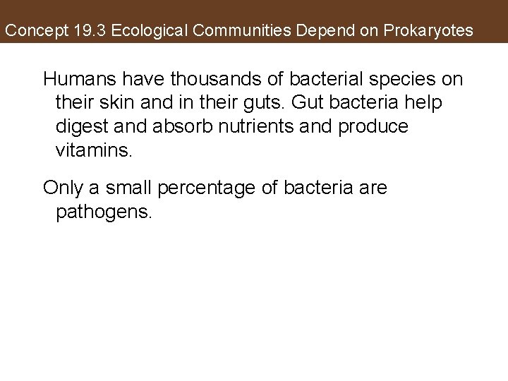Concept 19. 3 Ecological Communities Depend on Prokaryotes Humans have thousands of bacterial species