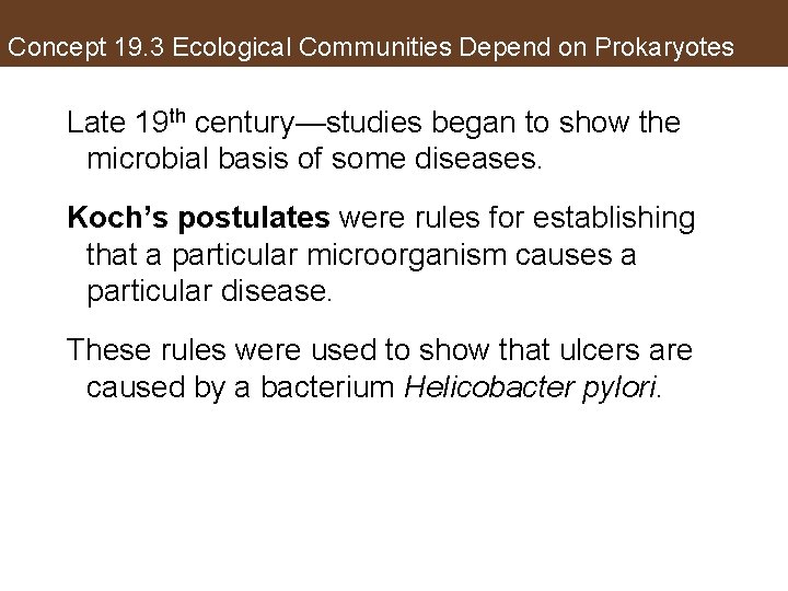 Concept 19. 3 Ecological Communities Depend on Prokaryotes Late 19 th century—studies began to
