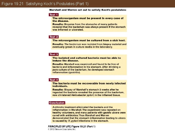 Figure 19. 21 Satisfying Koch’s Postulates (Part 1) 