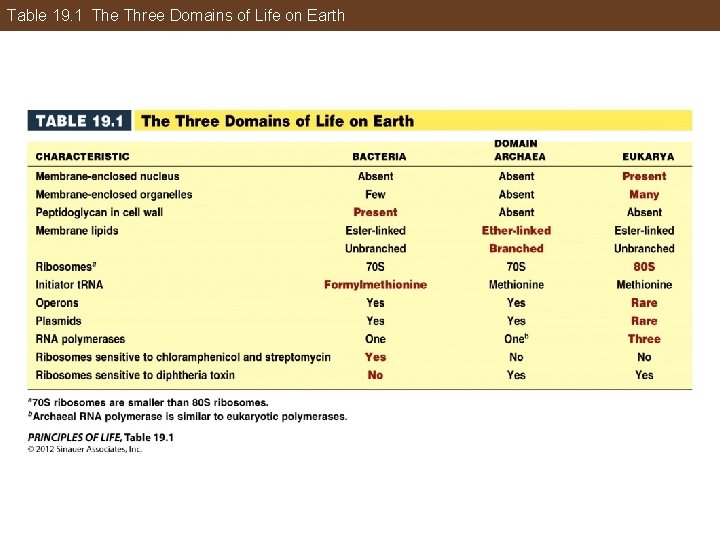 Table 19. 1 The Three Domains of Life on Earth 