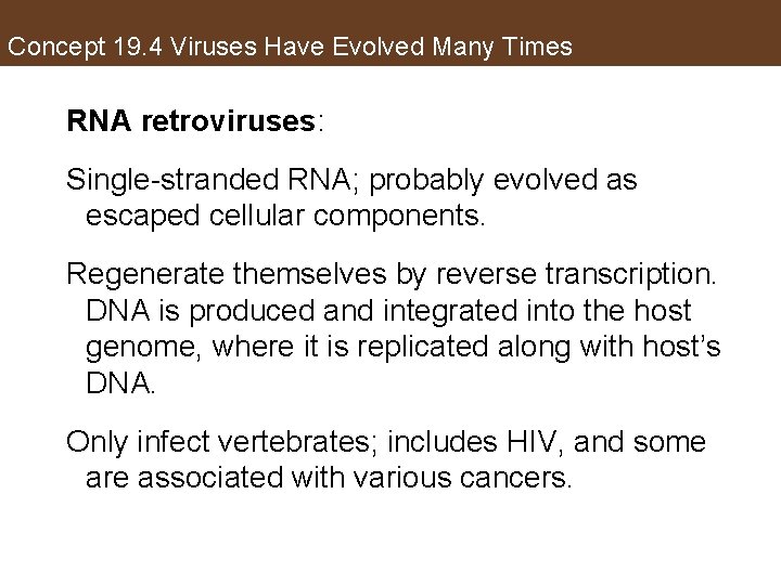 Concept 19. 4 Viruses Have Evolved Many Times RNA retroviruses: Single-stranded RNA; probably evolved