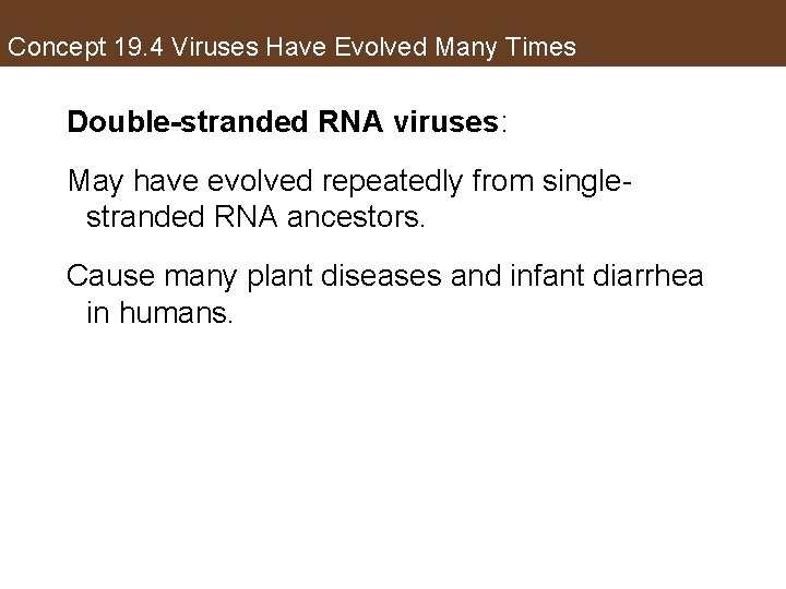 Concept 19. 4 Viruses Have Evolved Many Times Double-stranded RNA viruses: May have evolved