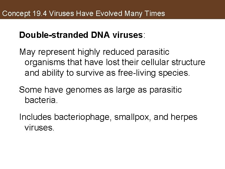 Concept 19. 4 Viruses Have Evolved Many Times Double-stranded DNA viruses: May represent highly