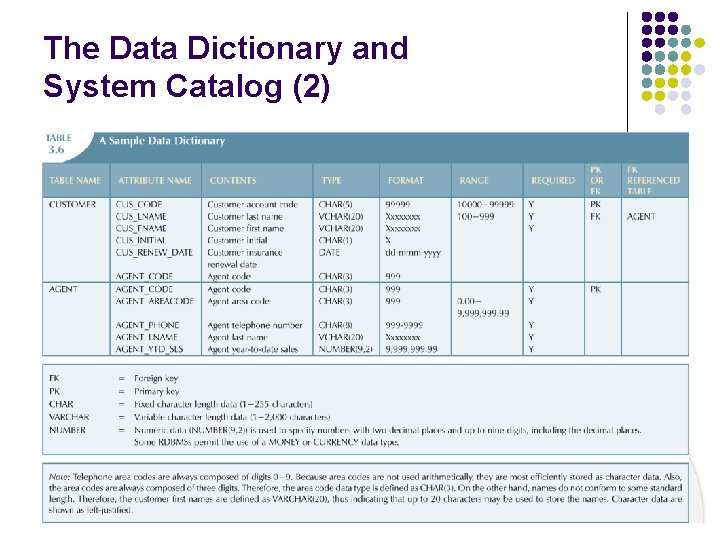 The Data Dictionary and System Catalog (2) 