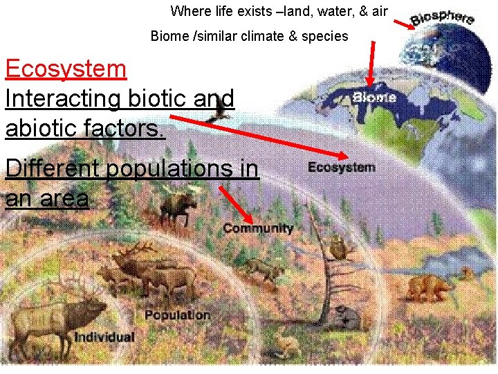 Where life exists –land, water, & air Biome /similar climate & species Ecosystem Interacting