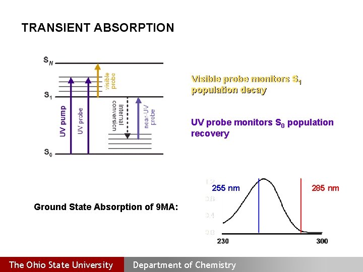 TRANSIENT ABSORPTION Visible probe monitors S 1 population decay UV probe monitors S 0