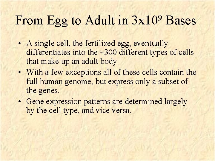 From Egg to Adult in 3 x 109 Bases • A single cell, the