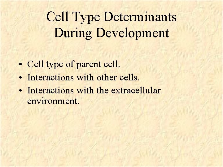 Cell Type Determinants During Development • Cell type of parent cell. • Interactions with