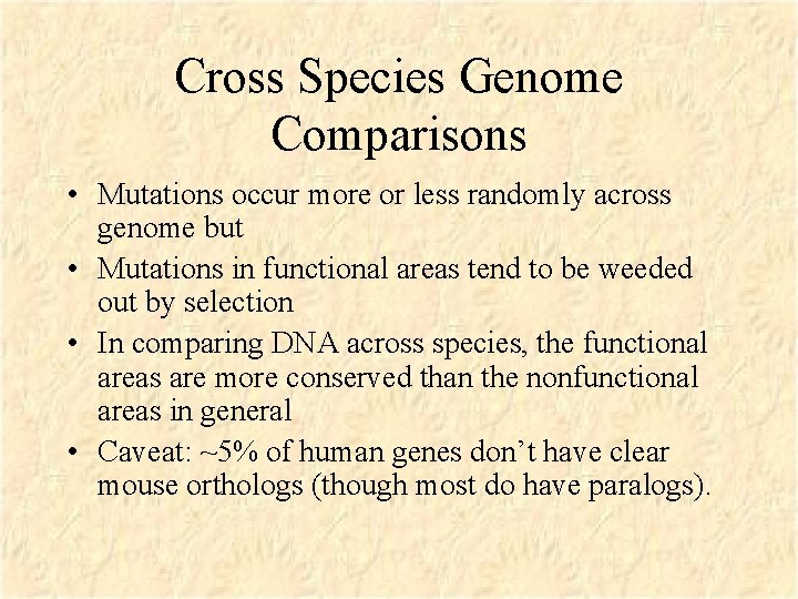 Cross Species Genome Comparisons • Mutations occur more or less randomly across genome but