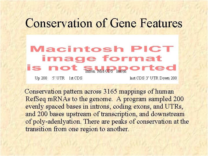 Conservation of Gene Features Intron Mid CDS Intron Up 200 5’ UTR 1 st
