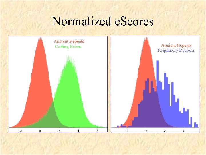 Normalized e. Scores 