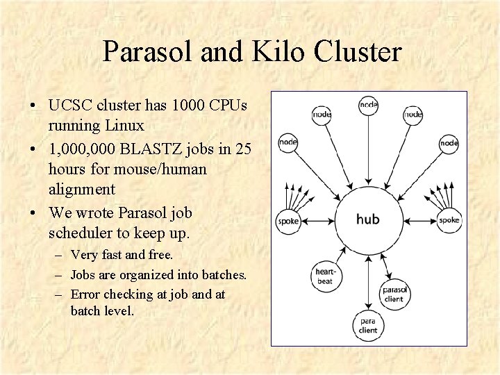 Parasol and Kilo Cluster • UCSC cluster has 1000 CPUs running Linux • 1,