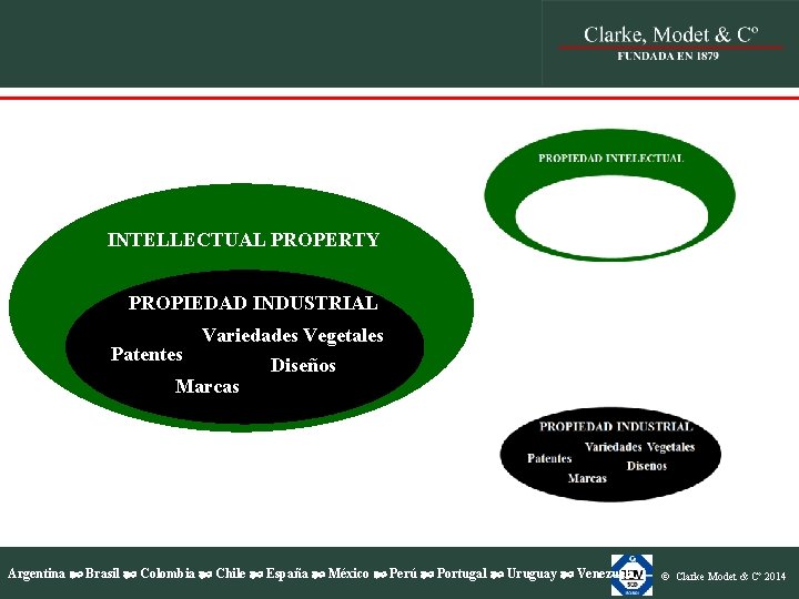 PROPIEDAD INTELECTUAL INTELLECTUAL PROPERTY PROPIEDAD INDUSTRIAL Patentes Variedades Vegetales Marcas Diseños Argentina Brasil Colombia