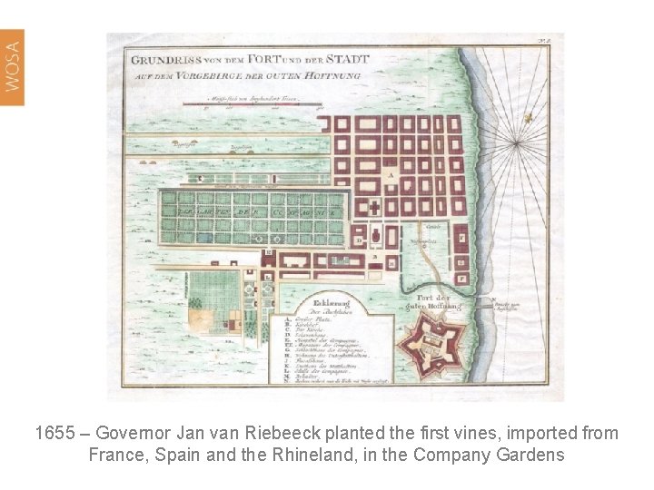 1655 – Governor Jan van Riebeeck planted the first vines, imported from France, Spain