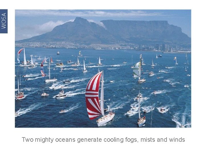 Two mighty oceans generate cooling fogs, mists and winds 