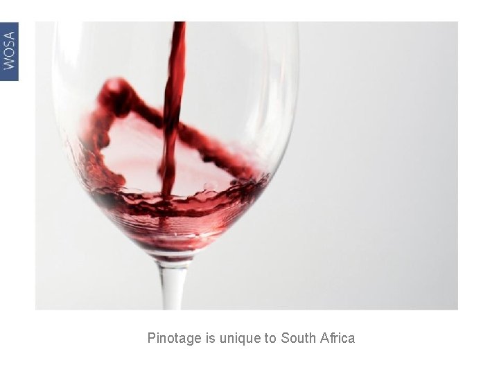 Pinotage is unique to South Africa 