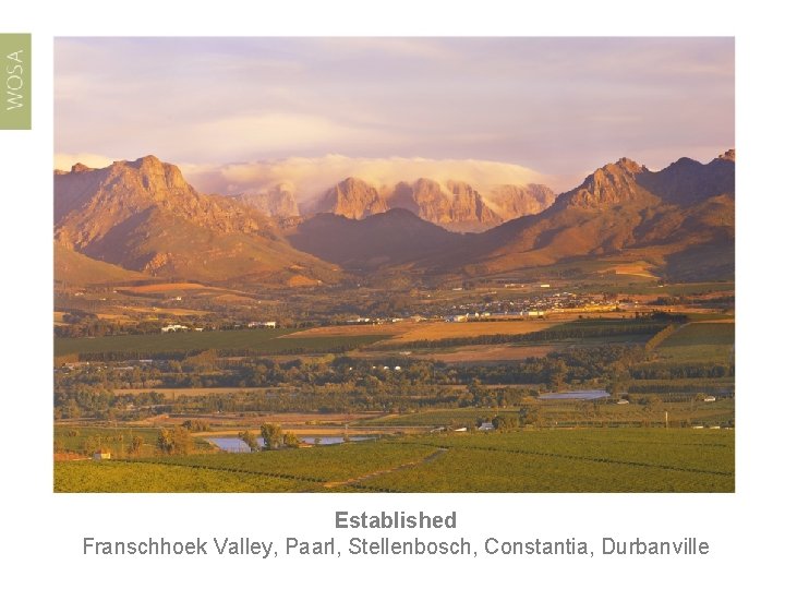 Established Franschhoek Valley, Paarl, Stellenbosch, Constantia, Durbanville 