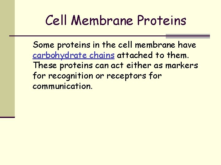 Cell Membrane Proteins Some proteins in the cell membrane have carbohydrate chains attached to