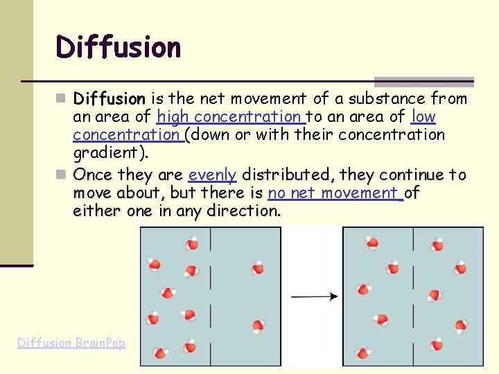 Diffusion is the net movement of a substance from an area of high concentration