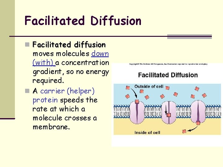 Facilitated Diffusion Facilitated diffusion moves molecules down (with) a concentration gradient, so no energy