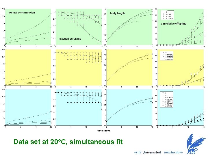 Data set at 20°C, simultaneous fit 