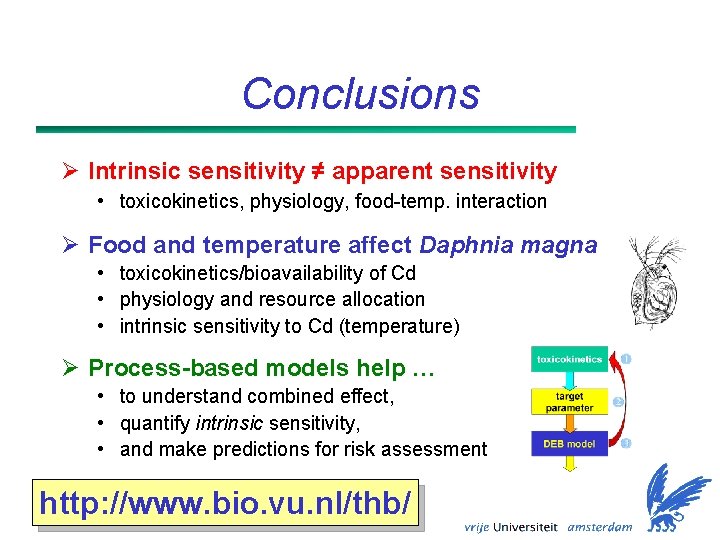 Conclusions Ø Intrinsic sensitivity ≠ apparent sensitivity • toxicokinetics, physiology, food-temp. interaction Ø Food