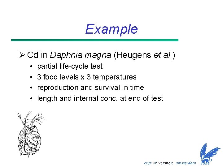 Example Ø Cd in Daphnia magna (Heugens et al. ) • • partial life-cycle