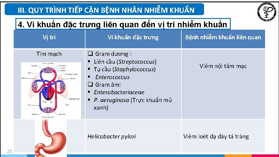 III. QUY TRÌNH TIẾP CẬN BỆNH NH N NHIỄM KHUẨN 4. Vi khuẩn đặc