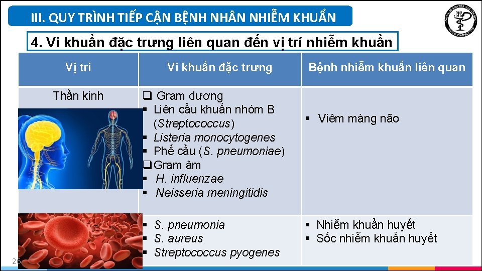 III. QUY TRÌNH TIẾP CẬN BỆNH NH N NHIỄM KHUẨN 4. Vi khuẩn đặc