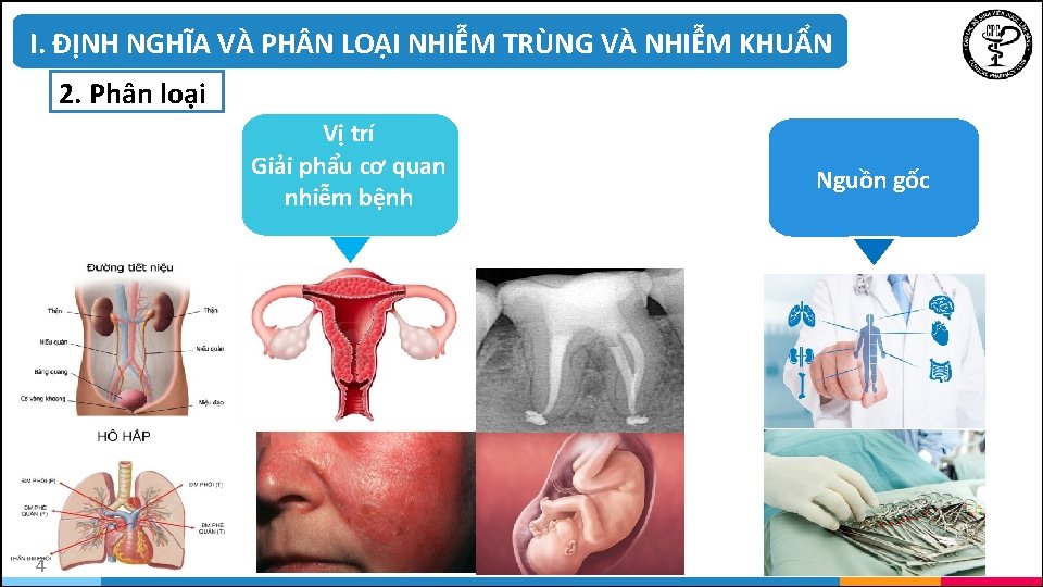 I. ĐỊNH NGHĨA VÀ PH N LOẠI NHIỄM TRÙNG VÀ NHIỄM KHUẨN 2. Phân