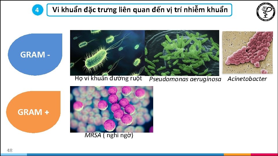 44 Vi khuẩn đặc trưng liên quan đến vị trí nhiễm khuẩn GRAM Họ