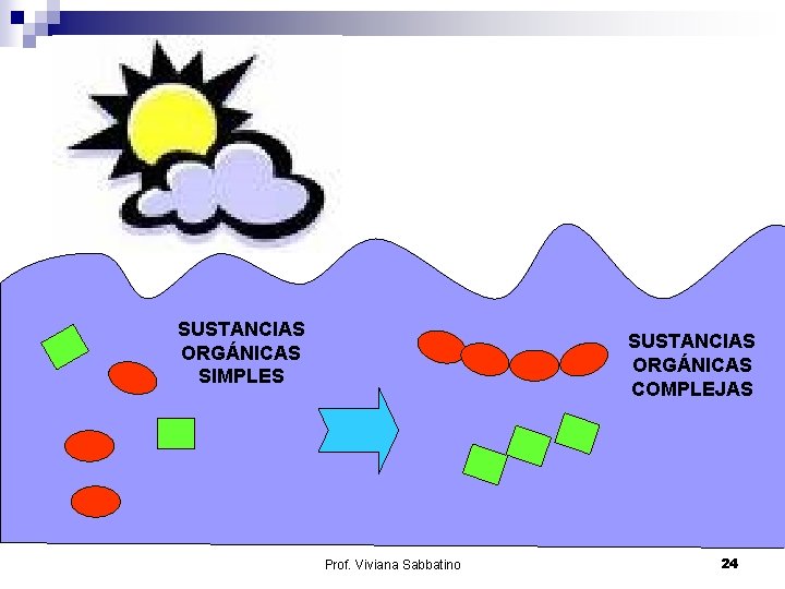 SUSTANCIAS ORGÁNICAS SIMPLES SUSTANCIAS ORGÁNICAS COMPLEJAS Prof. Viviana Sabbatino 24 