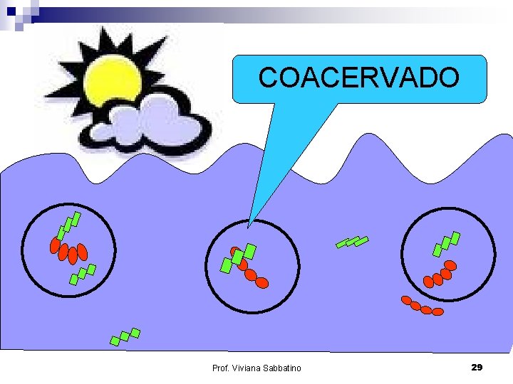 COACERVADO Prof. Viviana Sabbatino 29 