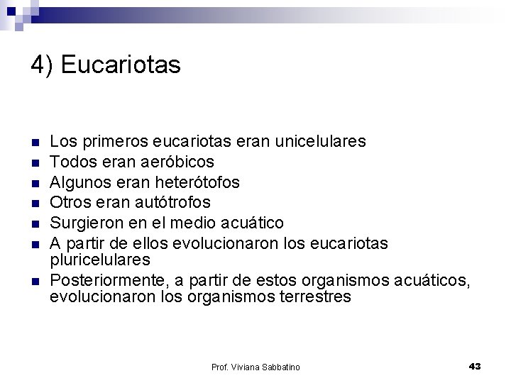 4) Eucariotas n n n n Los primeros eucariotas eran unicelulares Todos eran aeróbicos