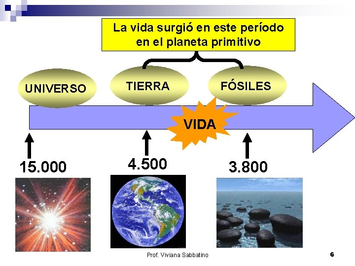 La vida surgió en este período en el planeta primitivo UNIVERSO TIERRA FÓSILES VIDA