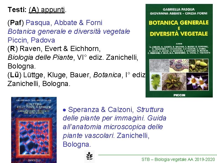 BIOLOGIA VEGETALE STB Docenti Prof Mauro Tretiach email