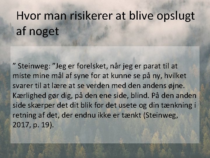 Hvor man risikerer at blive opslugt af noget ” Steinweg: ”Jeg er forelsket, når