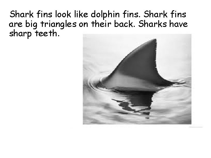 Shark fins look like dolphin fins. Shark fins are big triangles on their back.