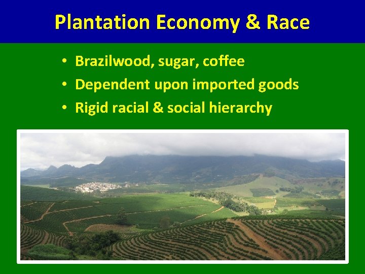 Plantation Economy & Race • Brazilwood, sugar, coffee • Dependent upon imported goods •