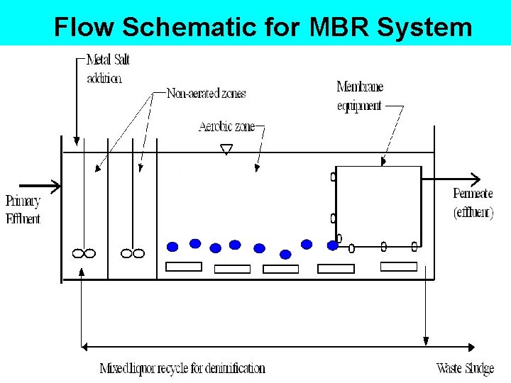 Flow Schematic for MBR System 