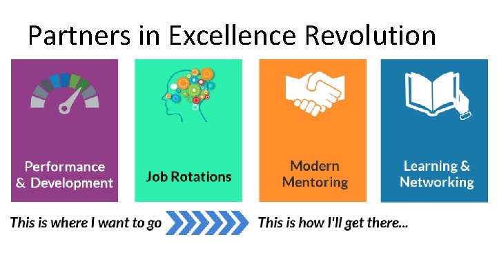 Partners in Excellence Revolution 